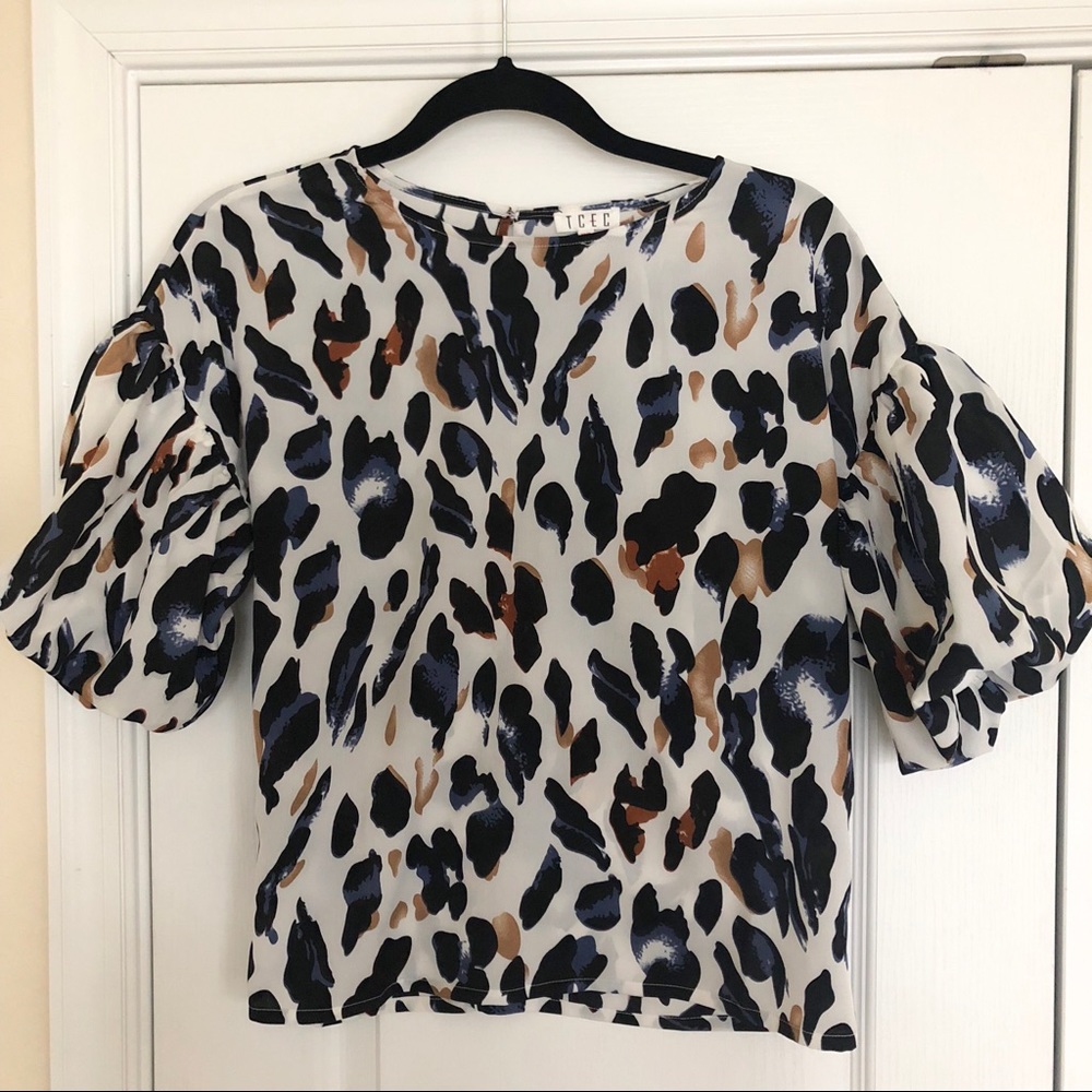 Small Bouffant Puff Sleeve Top